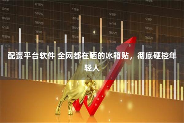 配资平台软件 全网都在晒的冰箱贴，彻底硬控年轻人