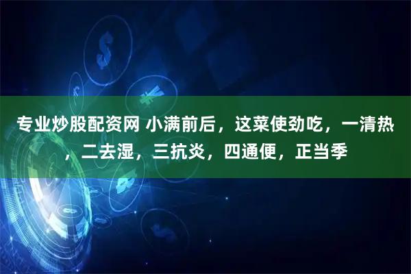 专业炒股配资网 小满前后，这菜使劲吃，一清热，二去湿，三抗炎，四通便，正当季